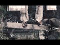 VH (Vast &amp; Hazy)【泥地 Muddy】Official Video
