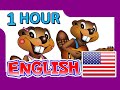 &quot;English Level 1 DVD&quot; - 1 Hour, Learn to Speak English, Teach ESL, EFL, Kids Language School