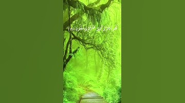 تلاوة جميلة رائعة و رهيــــــــــــبة  (سعد الغامدي )