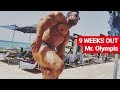 DURRAH - Mr. Olympia 9 Week Out RECHARGE