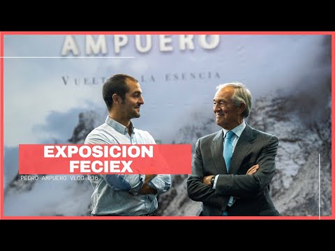 FERIA CAZA FECIEX 💥 EXPOSICIÓN FAMILIA AMPUERO - VUELTA A LA ESENCIA 🔥 Recorrido explicativo