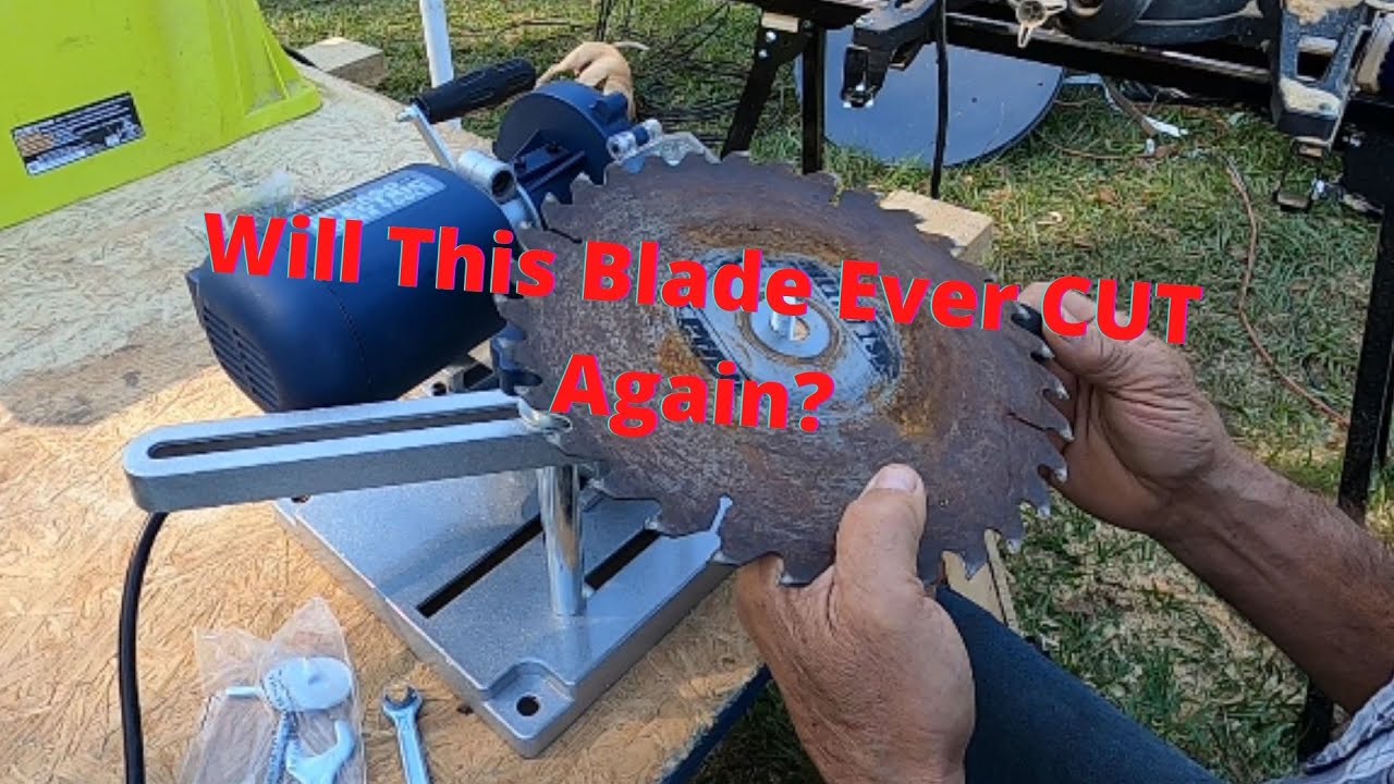 Dull Blade VS Harbor Freight Circular Saw Blade Sharpener YouTube
