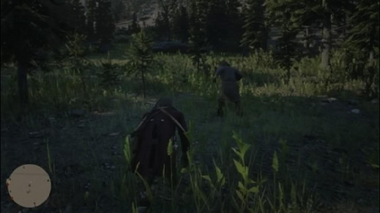 What happens when you Meet The Hunter in Rdr2 - YouTube