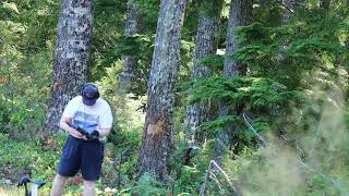 Dpms Kitty Kat 5.56 7 Inch Pistol