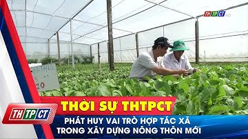 Phát huy vai trò hợp tác xã trong xây dựng nông thôn mới | Cần Thơ TV