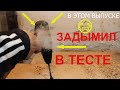 🔥Сгорел Шуруповерт Штурм 24в 🔥,  STURM CD3224 Почему? Какой Шуруповерт Выбрать?