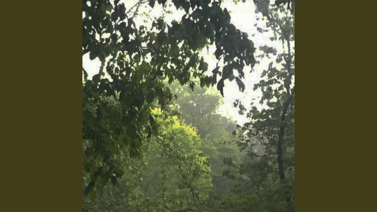 Watch Rainstorm on YouTube Watch Rainstorm on YouTube