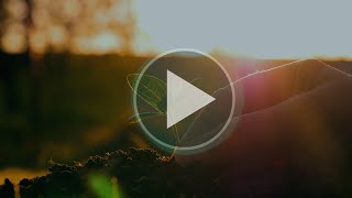 Vanguard Charitable Donor Advised Fund