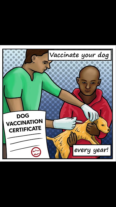 10 things you should know to prevent rabies