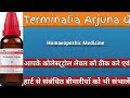 TERMINALIA ARJUNA Q II Best medicine for Cholesterol & Heart Problems ll#Homoeopathicvines