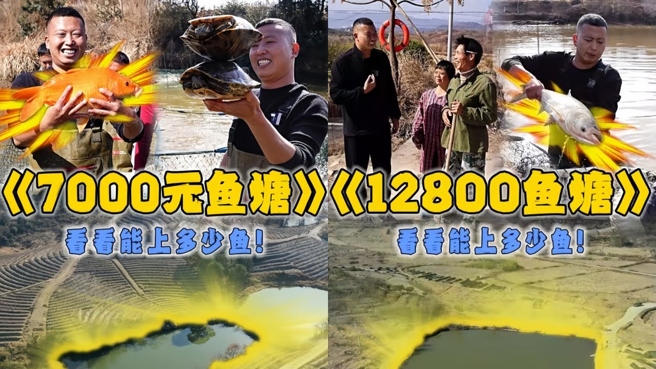 小飞哥花7000元包下阿姨家鱼塘，用挖机排水看看到底能上多少货？｜花12800元包下叔叔家的鱼塘，看看到底能上多少鱼？