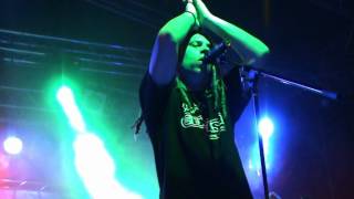 Extasy Pure Rock - With Or Without You