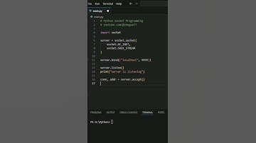 Python Sockets in Under a Minute! 👀