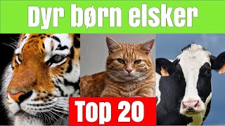 Dyr børn elsker (top 20 favorit dyr)