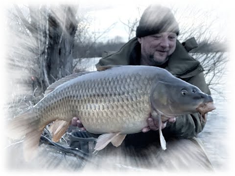 Pêcher la carpe en 4 saisons by Carpecanal