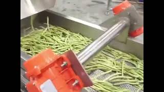 High-efficiency beans processing machine, cutting, cleaning and drying