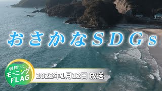 「おさかなSDGs」（2022年1月12日放送）