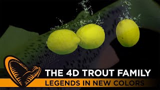 Vidéo: L'appât Savage Gear 4D Line Thru Trout 15cm 35g Lentement coulé