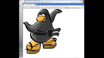 So Really Ninjaproxy, What is a Ninja Proxy Server?