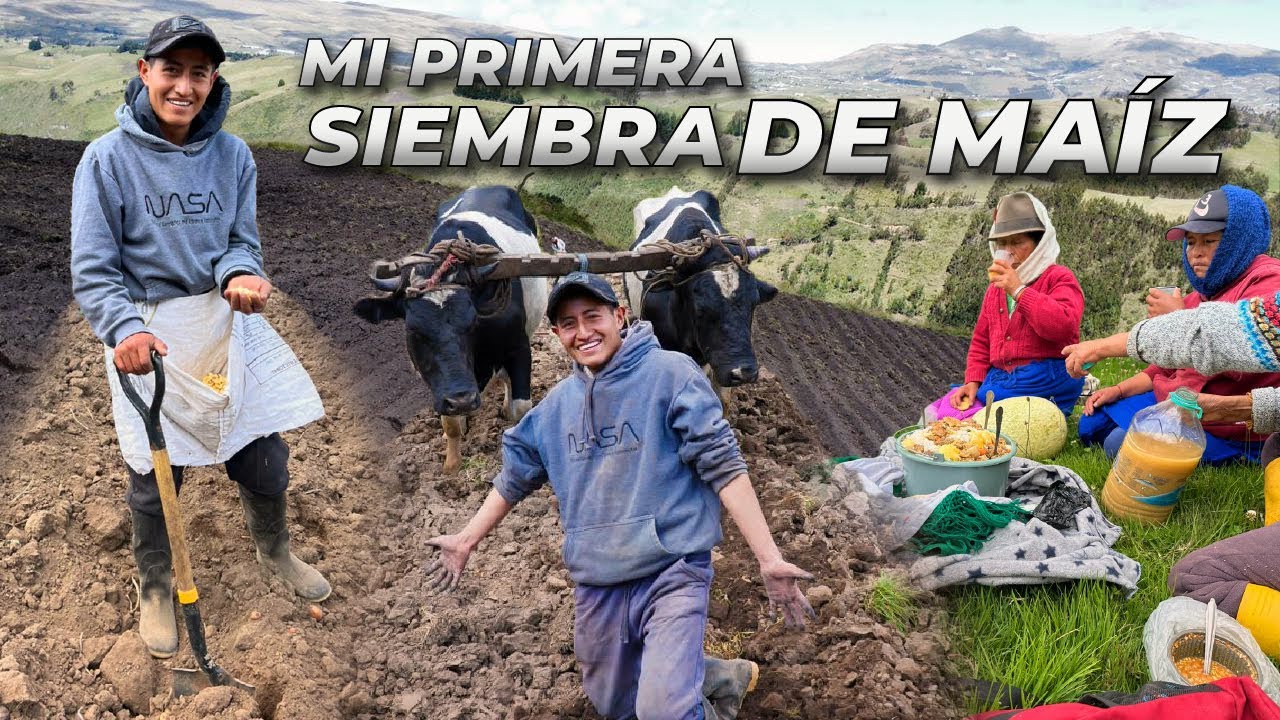 SEMBRANDO MAIZ EN EL PARAMO (Junto a mi Mami) | Edii Luu 