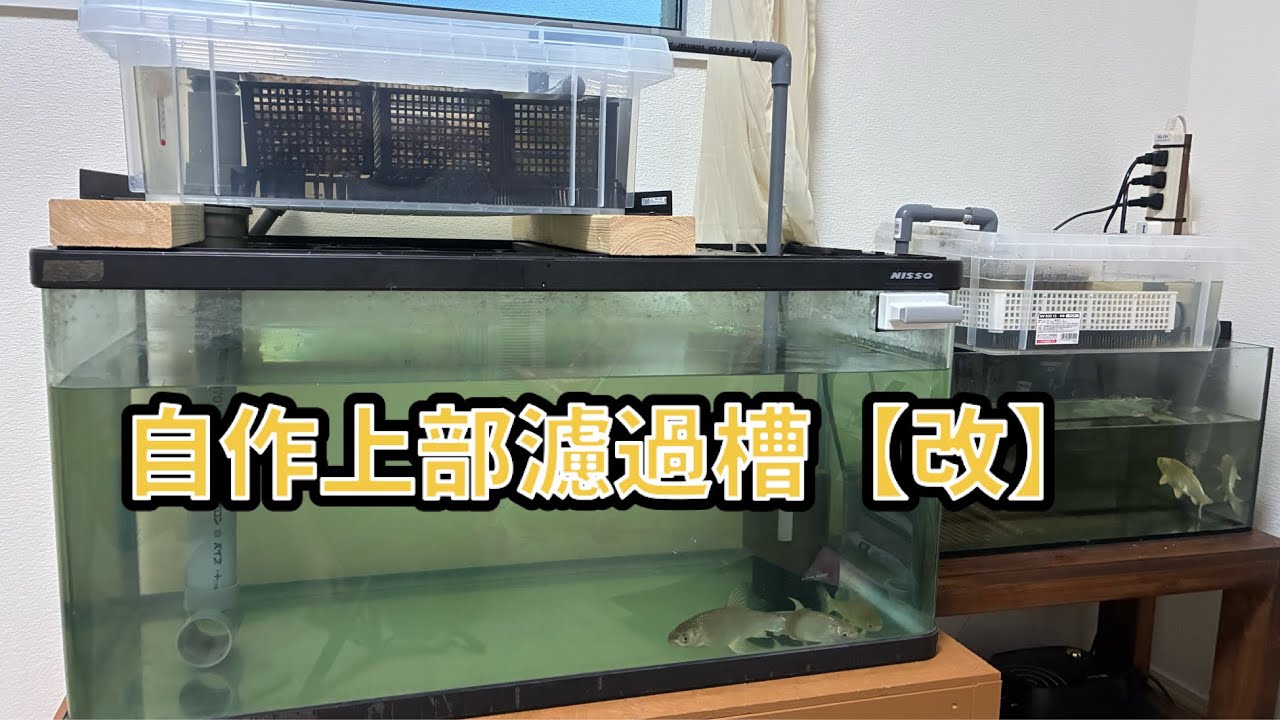 37.自作上部濾過槽【改】