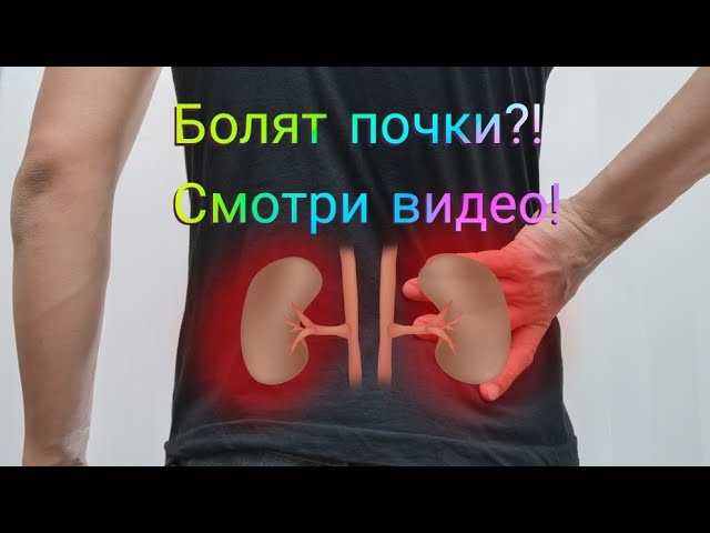 Травы для лечения почек. Урологический сбор. Фитонефрол