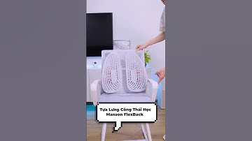 Tựa Lưng Manson FlexBack - Biến Mọi Chiếc Ghế Thành Ghế Công Thái Học