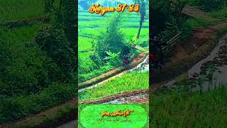 Qur'an Hafalan Surat Maryam 🌴🌾 81-83 🌾🌴 تحفيظ القرآن سُوۡرَةُ مَریَم @ Cisema Kabupaten Bandung