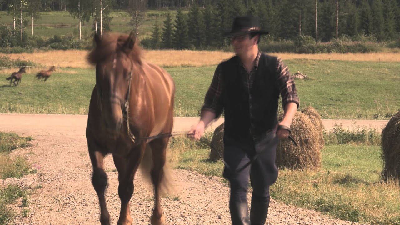 Suomenhevonen - Mika Lappalainen