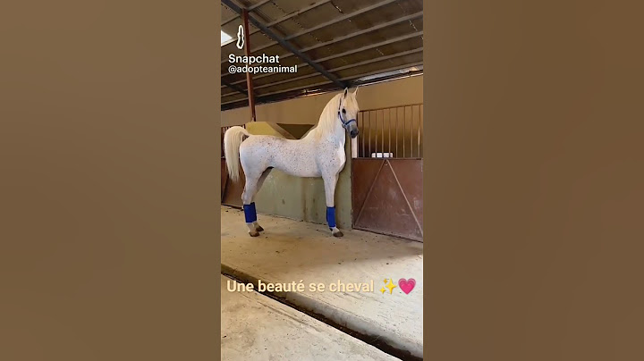 #cheval #magnifique