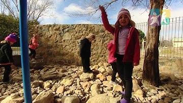 TAPS NQS PLP - Environment Makeover. NQS ideas to actions - Part 4