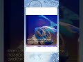 Lakota-складной электромобиль #shorts