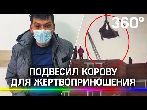 В Казахстане строители подняли корову на крышу многоэтажки для жертвоприношения