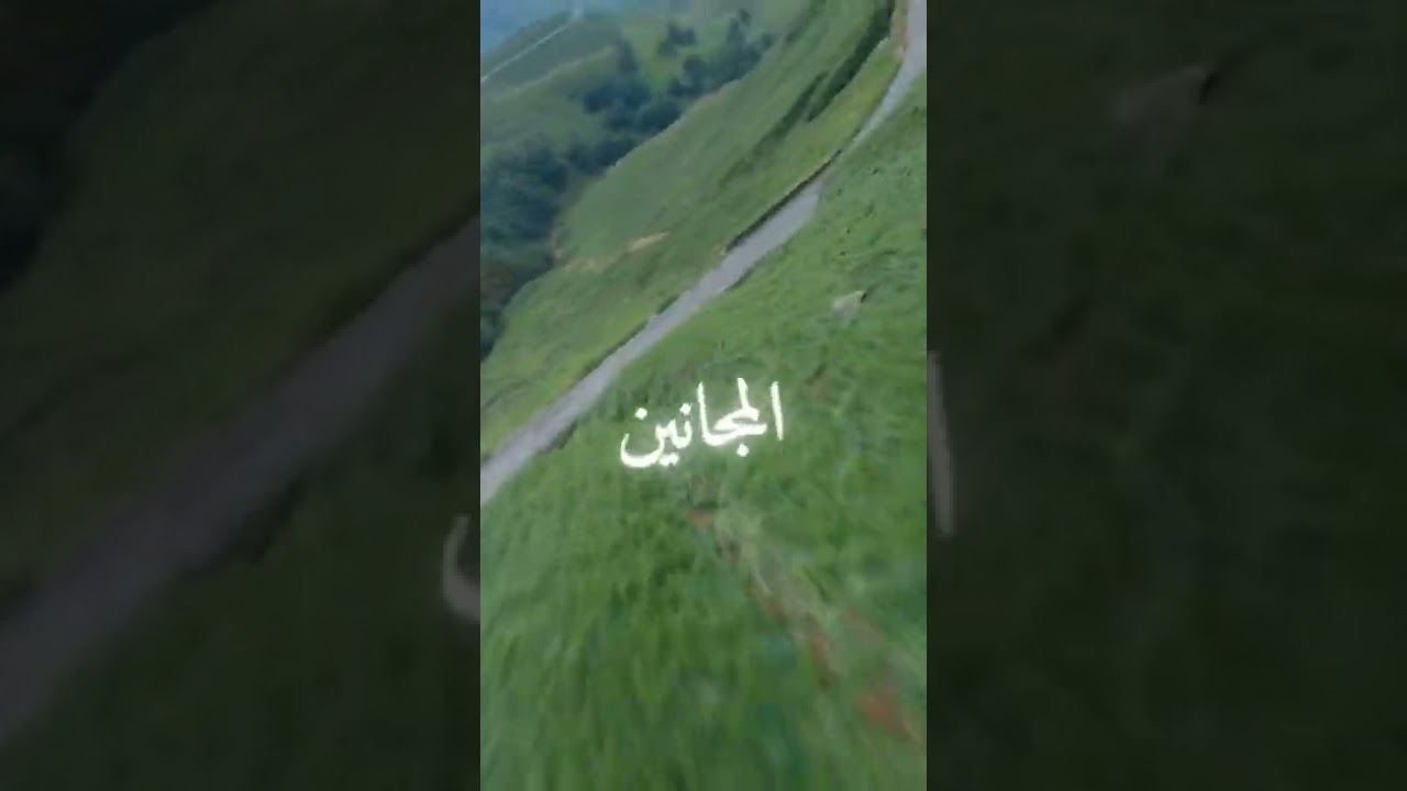 ماتقوليش بابا دارلي قولي نتايا ماجانيت ✌🏻🌚