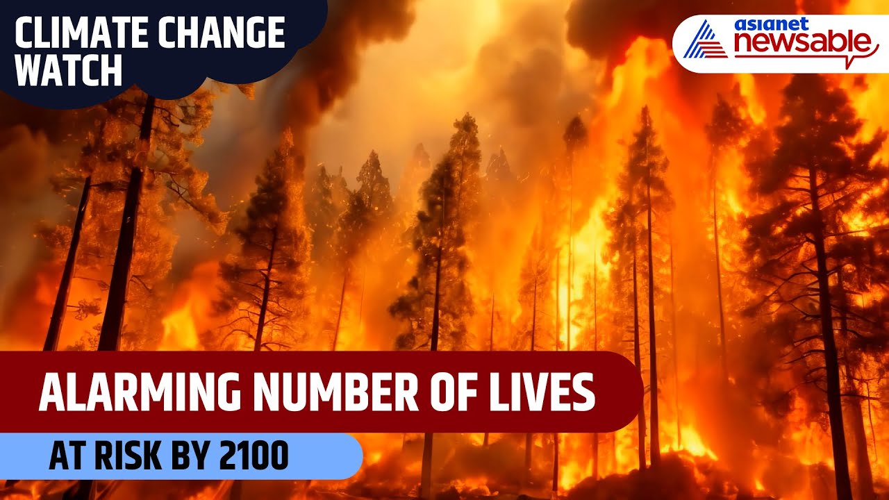 Climate Change Watch | Study Predicts THIS Alarming Number of Deaths by 2100