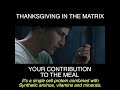 Thanksgiving in the matrix