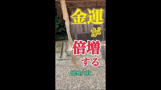 見るだけで金運倍増♪神の使い蛇のご利益 縁結びの神様【出雲大社】#shorts