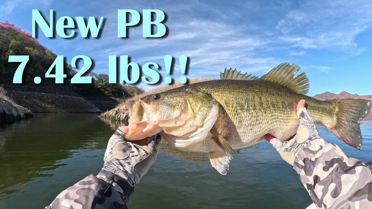 Baccarac Mexico Bass Fishing 2/19/26 Day 2