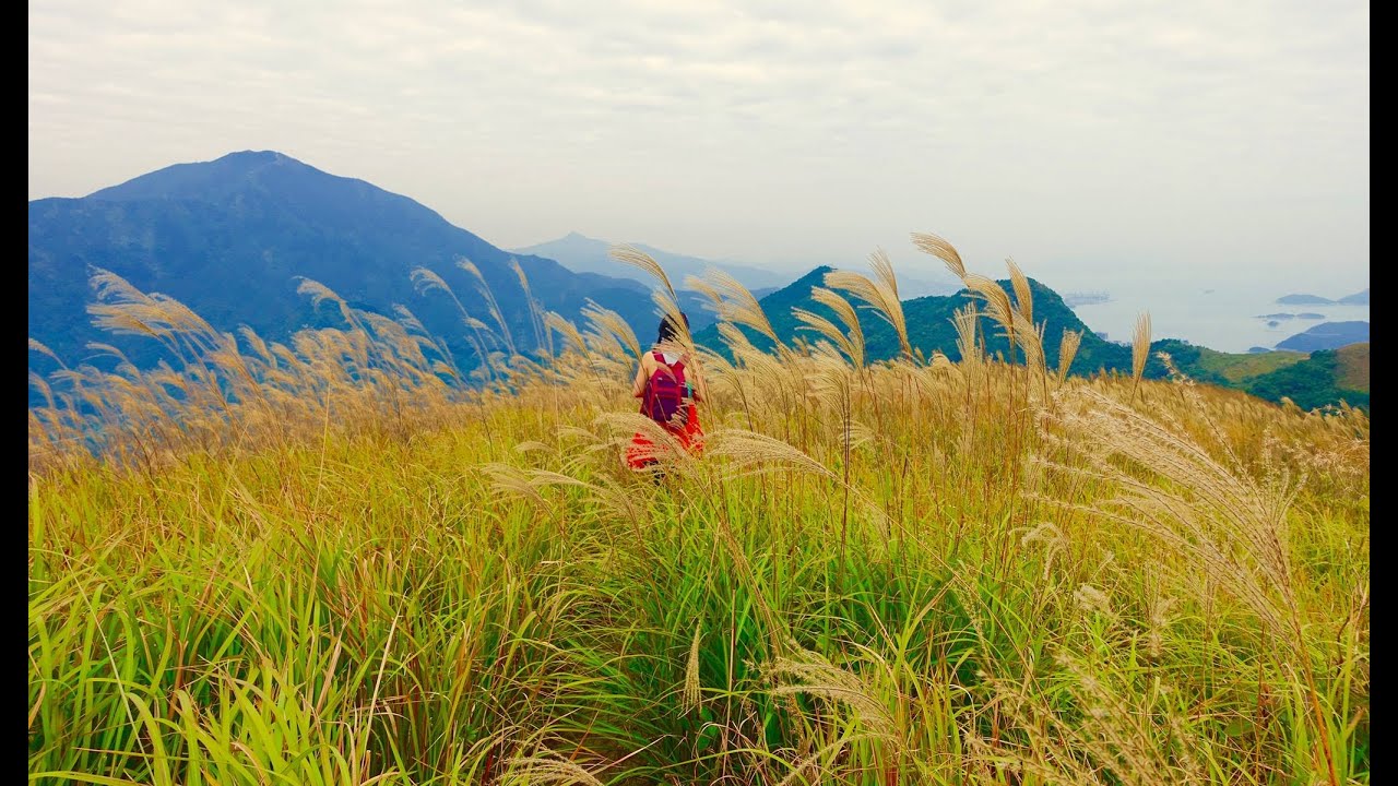 Things to do in Hong Kong: Frontier Closed Border Area Hike 香港沙头角边界山脉行
