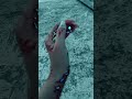 Sarara sarara❣️❣️