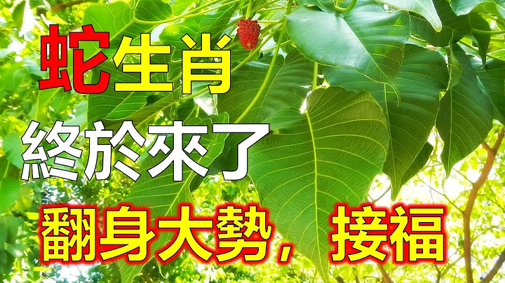 生肖蛇再过3天收到吉星的拂照，生肖蛇终于迎来了翻身大势！ 属蛇人一向都没旺盛的偏财运，坎坷也多，不过生肖蛇祖荫能庇佑三十载，在今年外财运大喜过望，有时期望越高失望越大，生肖蛇常遇贵人，7月生肖蛇运势 - 天天要闻