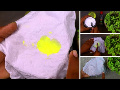 Easy Steps to Remove Mustard Stains Out of White or Colored Clothes Shirt