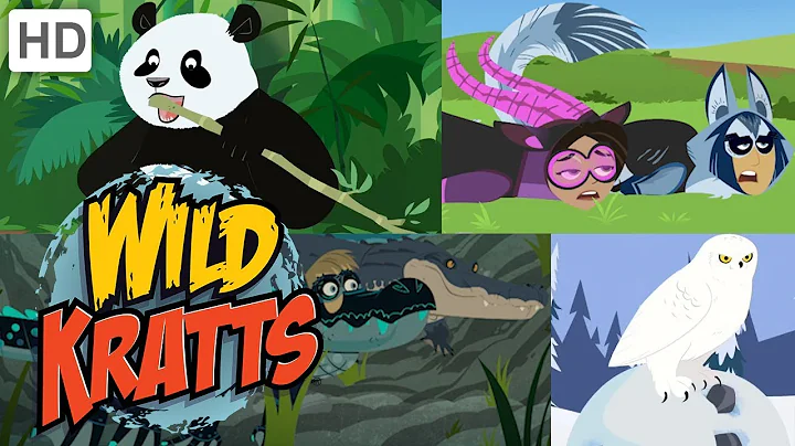 Wild Kratts  Exploring the Animal Kingdom  Kids Vi...