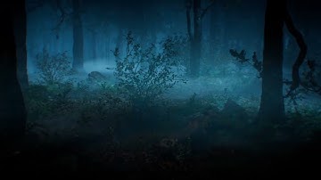 Dead by Daylight Mobile x Sadako Rising