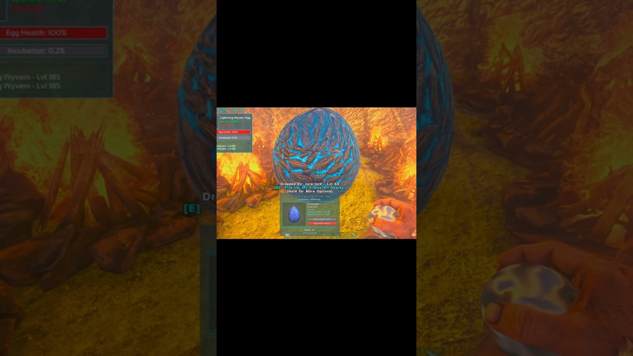 wyvern egg hatch?😱 how many wyvern will i get from it!🤔 