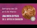 ASTROLOGIA MARZO ✅ LUNA NUEVA EN PISCIS Y CONJUNCIÓN SOL JÚPITER Clima Astral del 28 al 6 de Marzo