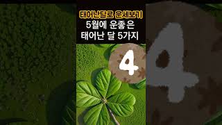 2024년 5월, 운이 좋은 대박 생일달 5가지! 꼭 확인해보세요! #사주, #한달운세, #띠별운세, #운세…