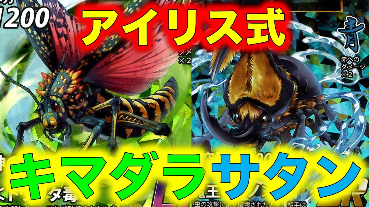 標本 グンジョウオオコブハムシ 蟲神器 蟲神器 グンジョウオオコブハムシ2