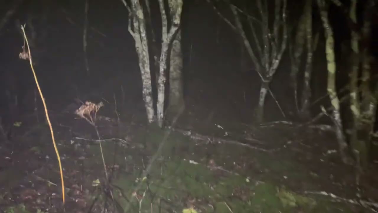 11/11/2022 as Nicole bands impact border of TN/NC