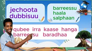 Jechoota  Haala  Salphaan Dubbisuu Fi Barreessuu 